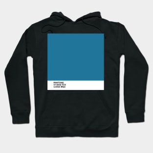 PANTONE 17-4032 TCX Lichen Blue Hoodie